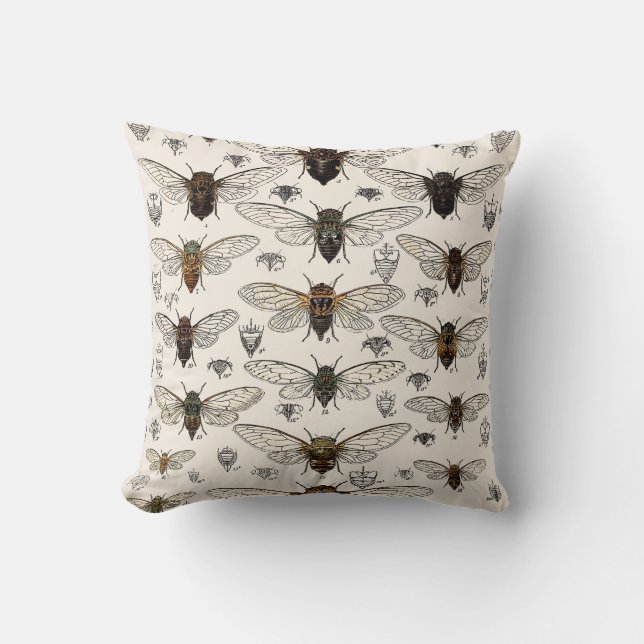 Coussin Illustration vintage de cigales (Recto)