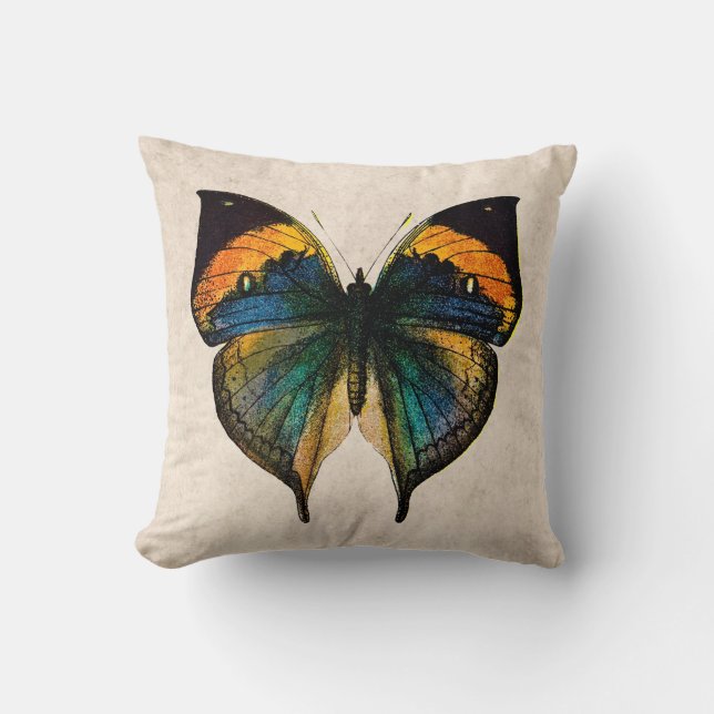 Coussin Illustration vintage de papillon - papillons (Recto)