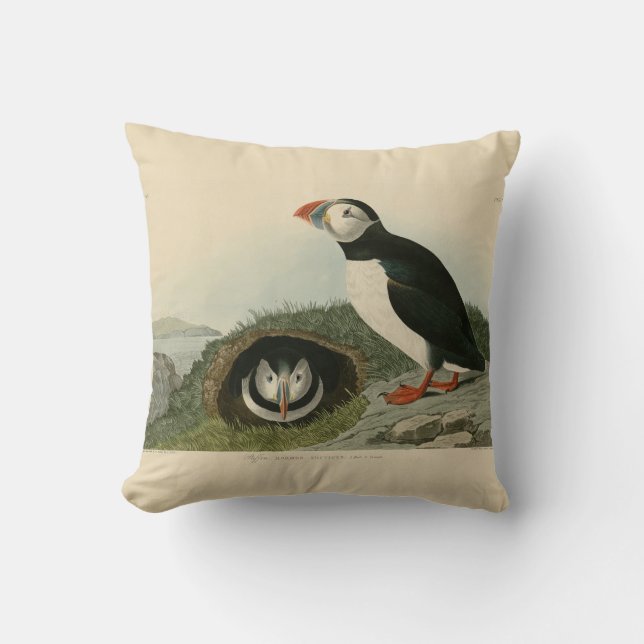 Coussin Illustration vintage de pouffin (Recto)