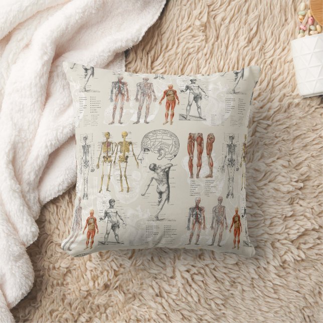 Coussin Illustrations de biologie anatomique vintage (Couverture)