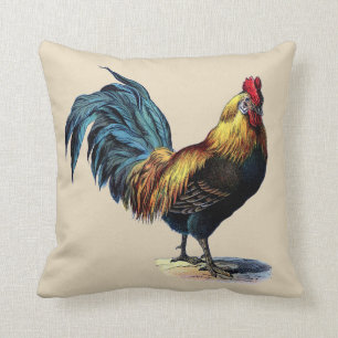 Coussin Image colorée de cru de poulet de pays de coq
