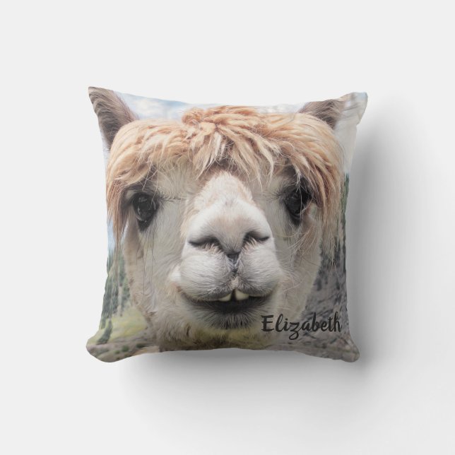 Coussin Image de sourire mignonne de photo d'alpaga (Recto)