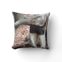 image d'image augmentée par nez d'animal sauvage