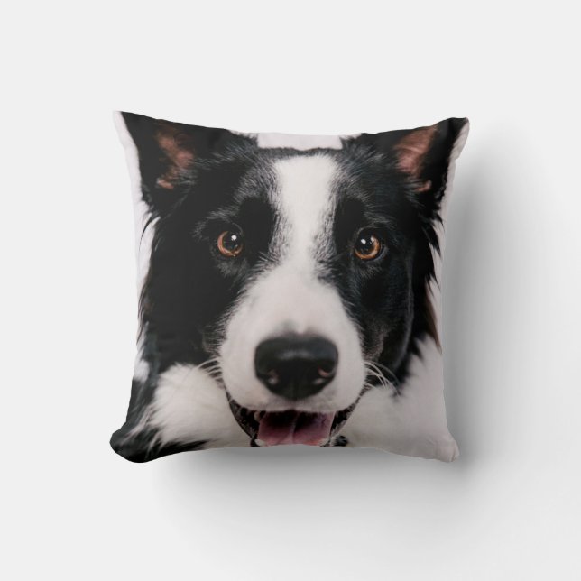 Coussin Images de Getty | A border collie de sourire (Recto)