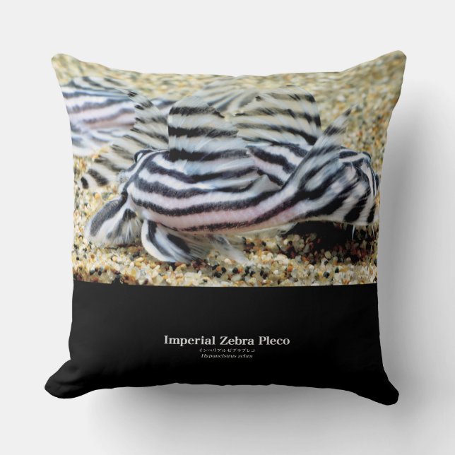 Coussin Imperial Zebra Pleco (Recto)