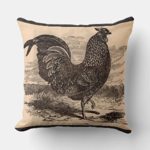 Coussin Impression de coq Gallus Sonneratii du 19e siècle