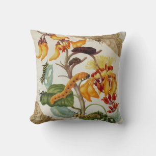 Coussin Impression Moth vive