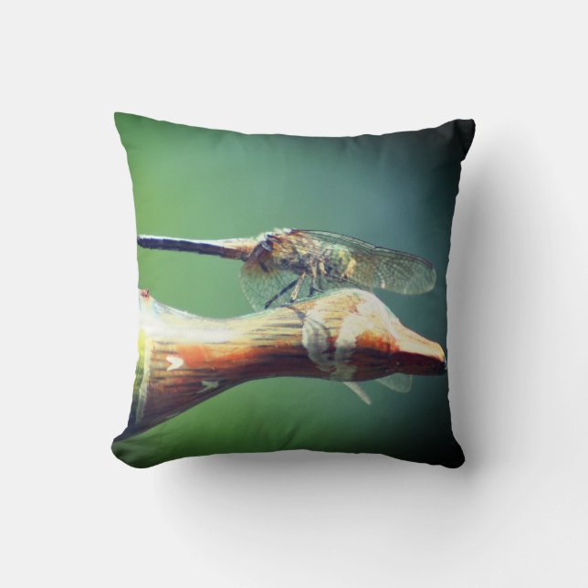 Coussin Insecte du pilote de libellules (Recto)