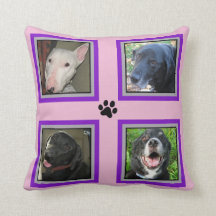 Instagram 4 Cadre-Roses Famille-Pourpres d'animal