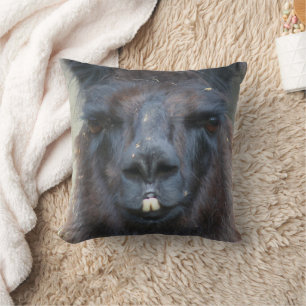 Coussin Intense Llama Noire Visage gros haut