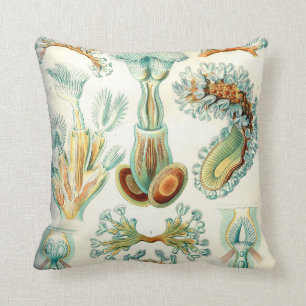 Coussin Invertébrés de bryozoaires d'Ernst Haeckel