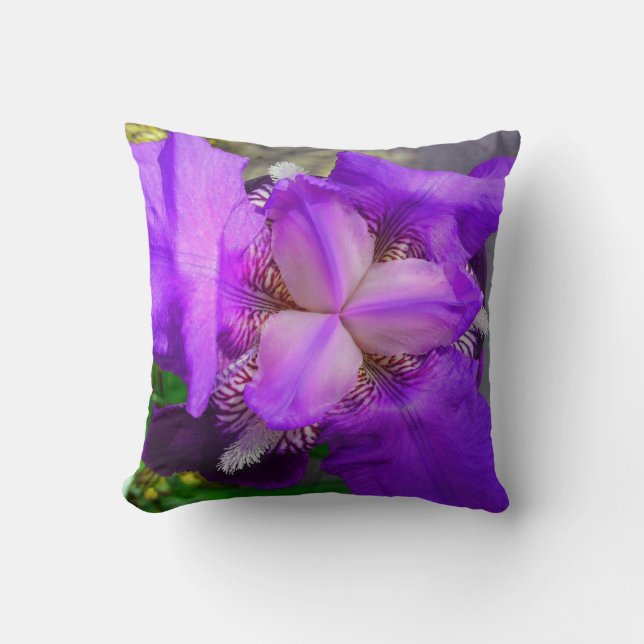 Coussin Iris violet (Recto)