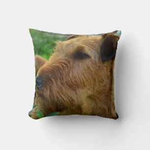 Coussin Irlandais Terrier chien animal de compagnie Jeter