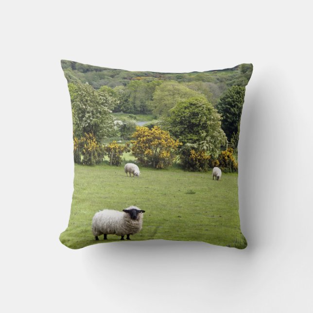 Coussin Irlande occidentale, presqu'île de Dingle (Recto)