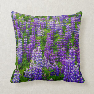 Coussin Islande. Vik i Myrdal. Champ de Lupines