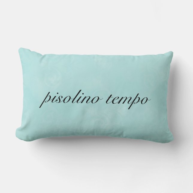 Coussin italien d'Aqua "de temps de petit somme" (Recto)