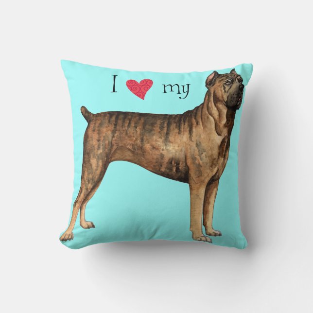 Coussin J'aime mon corso de canne (Recto)