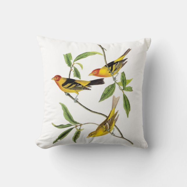 Coussin jaune de Tanager de John James Audubon (Recto)