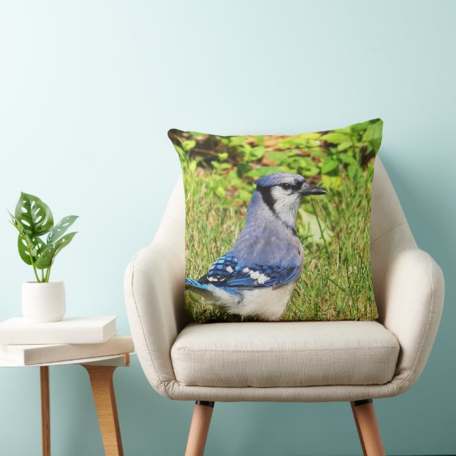 Coussin Jay bleu du nord (Chaise)