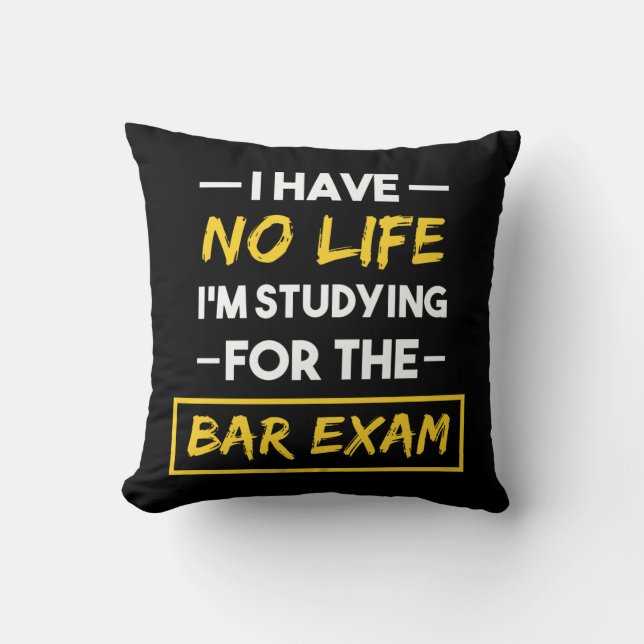 Coussin Je n'ai aucune vie que j'étudie pour l'examen au b (Recto)