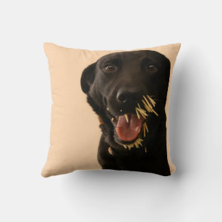 Coussin jetable Chien contre Porc-épic