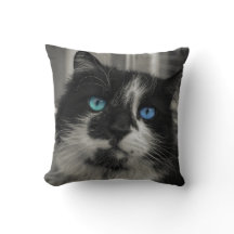 Coussin Jeté Chat aux Yeux Bleus Âme Azurée