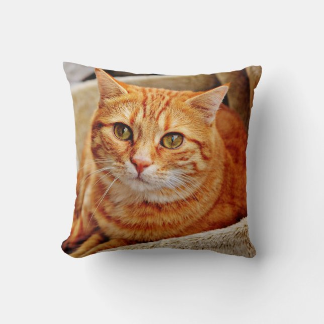 Coussin Jeter l'oreiller 16 po x 16 po (Recto)