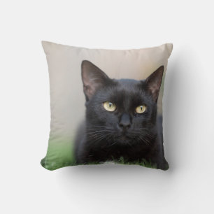 Coussin Jeter l'oreiller 16 po x 16 po