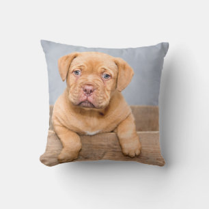 Coussin Jeter l'oreiller 16 po x 16 po