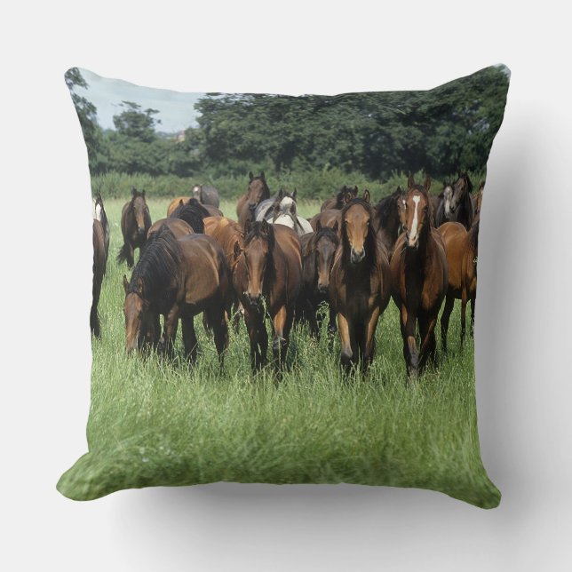 Coussin Jeunes de pur sang (Recto)