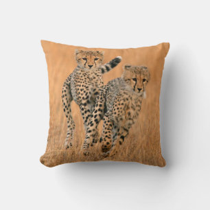 Coussin Jeunes guépards (Acinonyx Jubatus) en train de cou