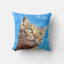 Jolie conception Kitten