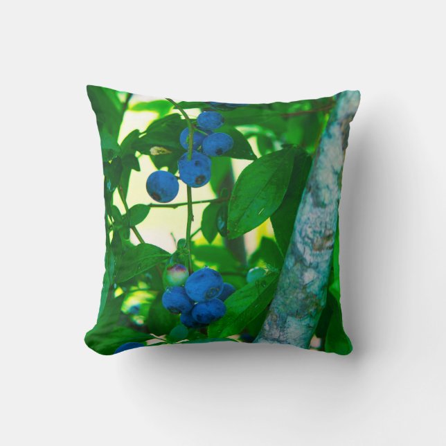 Coussin Jolies légumes (Recto)