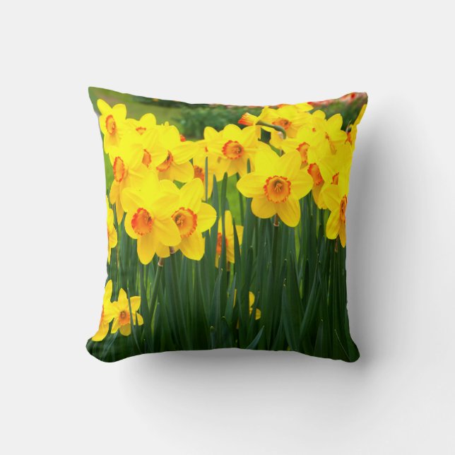 Coussin Jonquille vibrante (Recto)