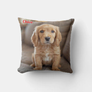 Coussin Jouer Cocker Spaniel