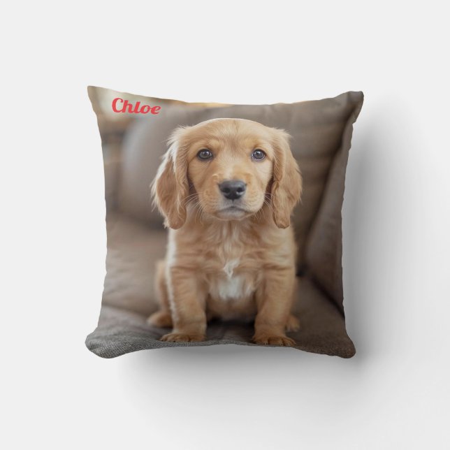 Coussin Jouer Cocker Spaniel (Recto)