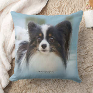 Coussin Jouet Papillon mignonne Chien espagnol à l'quai