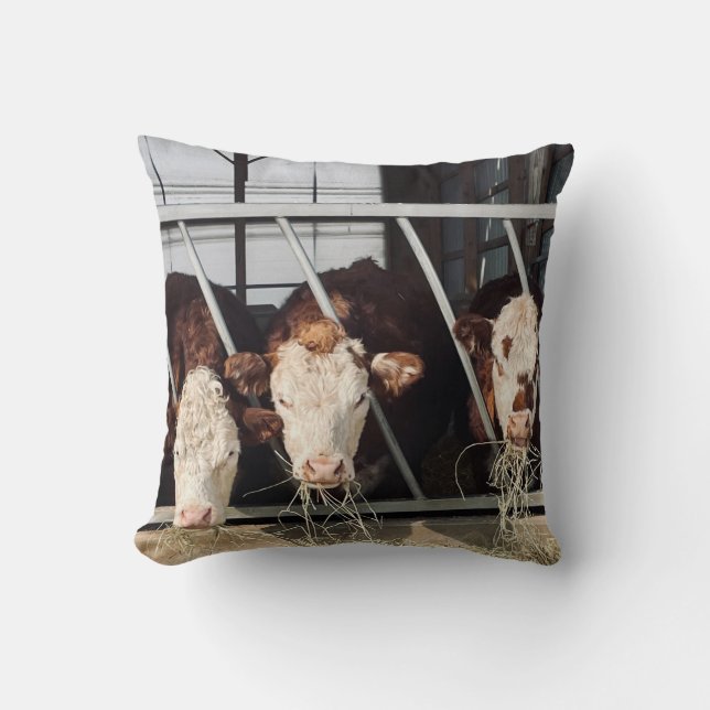 Coussin Journée à la ferme (Recto)