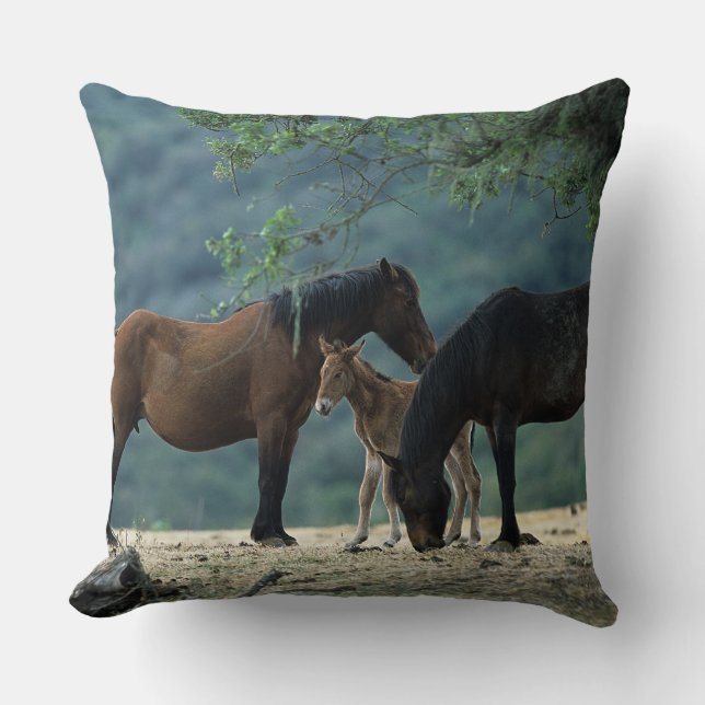 Coussin Jument et poulain sauvages de mustang (Recto)