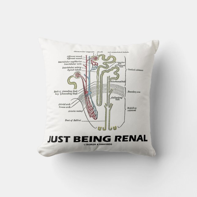 Coussin Juste étant rénal (humour rénal de néphron de (Recto)