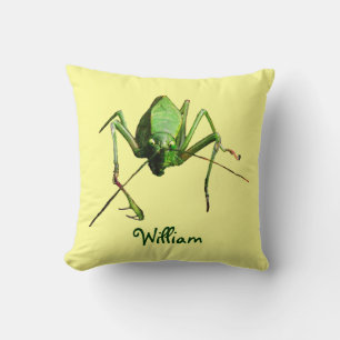 Coussin Katydid