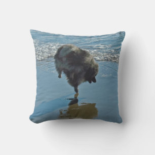 Coussin Keeshond Ballet Photographie - Joli chien d'origin