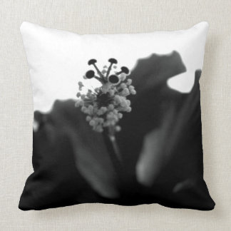 Coussin Ketmie noire