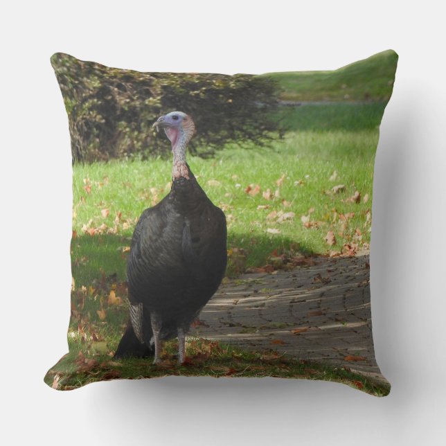 Coussin Kevin La Turquie - Vieux Wethersfield, CT (Recto)
