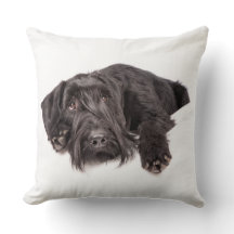 Kissen Riesenschnauzer