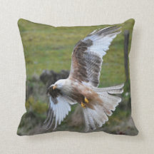 Kite rouge