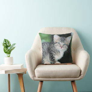 Coussin Kitten