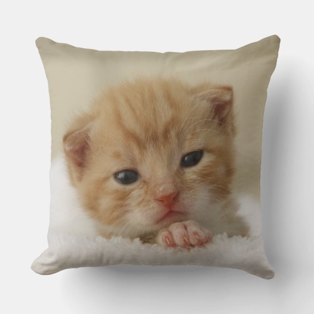 Coussin Kitten de Tiny (Recto)