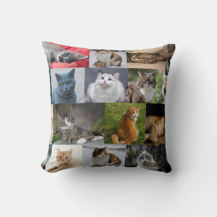 Coussin Kitties partout