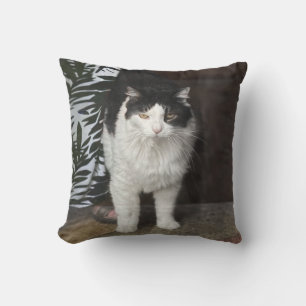 Coussin Kitty
